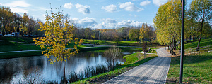 Аршиновский Парк, ул.Бехтерева